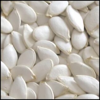 Squash / Pumpkin Seed