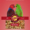 Volkman Eclectus