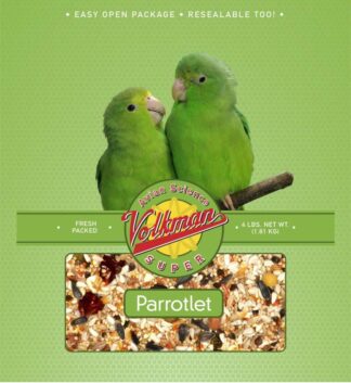 Volkman Parrotlet