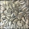 Grey Stripe Sunflower
