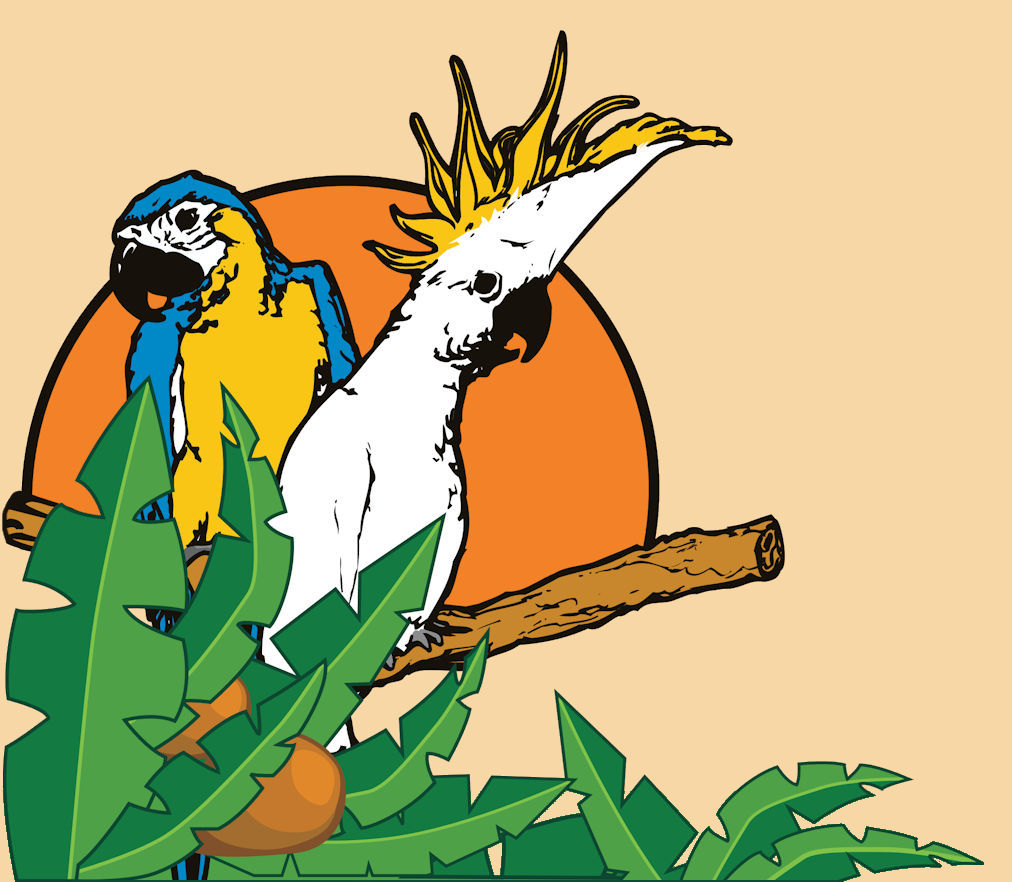 Our Feathered Friends Our Feathered Friends Specializes In Pet