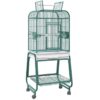 HQ656 – 22″ x 17″